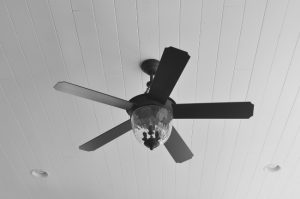 Ceiling Fans