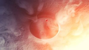 two types of smoke sensors used in smoke detectors